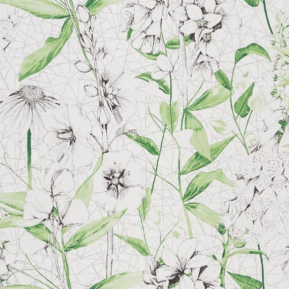 Обои Designers Guild Flowers Volume 1 Emilie PDG1050/01